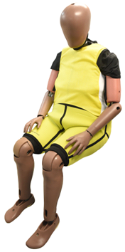 An “elderly” crash-test dummy. Image courtesy of Humanetics.